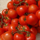 Sorte paradajza za predgrađa